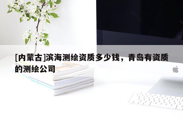 [內(nèi)蒙古]濱海測繪資質(zhì)多少錢，青島有資質(zhì)的測繪公司