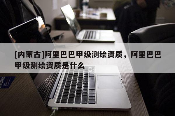 [內(nèi)蒙古]阿里巴巴甲級(jí)測(cè)繪資質(zhì)，阿里巴巴甲級(jí)測(cè)繪資質(zhì)是什么