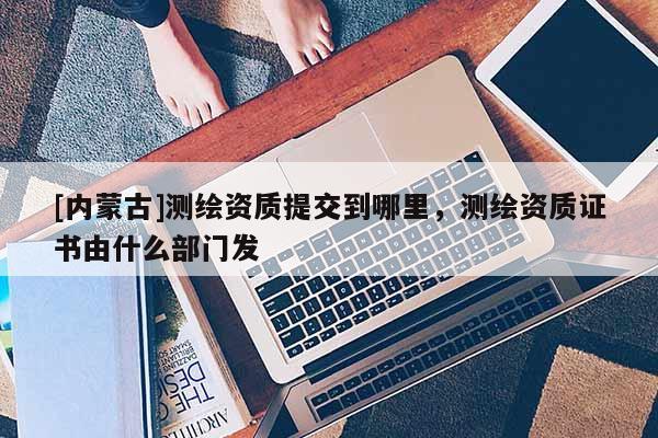 [內(nèi)蒙古]測繪資質(zhì)提交到哪里，測繪資質(zhì)證書由什么部門發(fā)