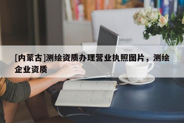 [內蒙古]測繪資質辦理營業(yè)執(zhí)照圖片，測繪企業(yè)資質