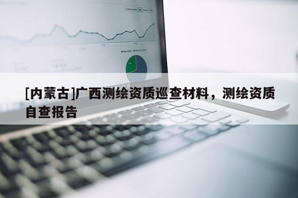 [內(nèi)蒙古]廣西測繪資質(zhì)巡查材料，測繪資質(zhì)自查報告
