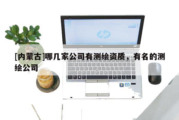[內蒙古]哪幾家公司有測繪資質，有名的測繪公司