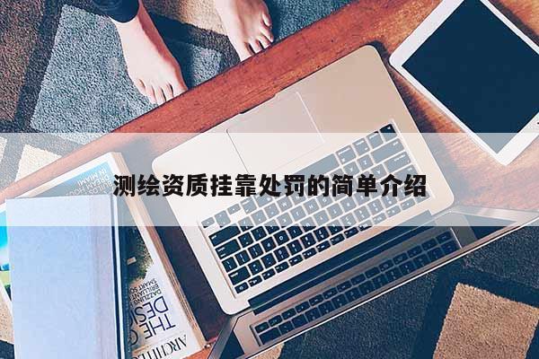測繪資質(zhì)掛靠處罰的簡單介紹
